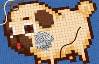 PLay Cross Stitch 2 - Coloring book 1 now!