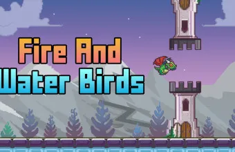 PLay Fire And Water Birds now!