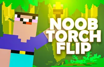 PLay Noob Torch Flip 2D now!