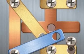 PLay Screw Puzzle now!