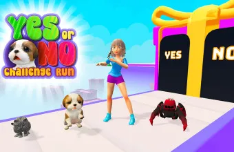 PLay Yes or No Challenge Run now!